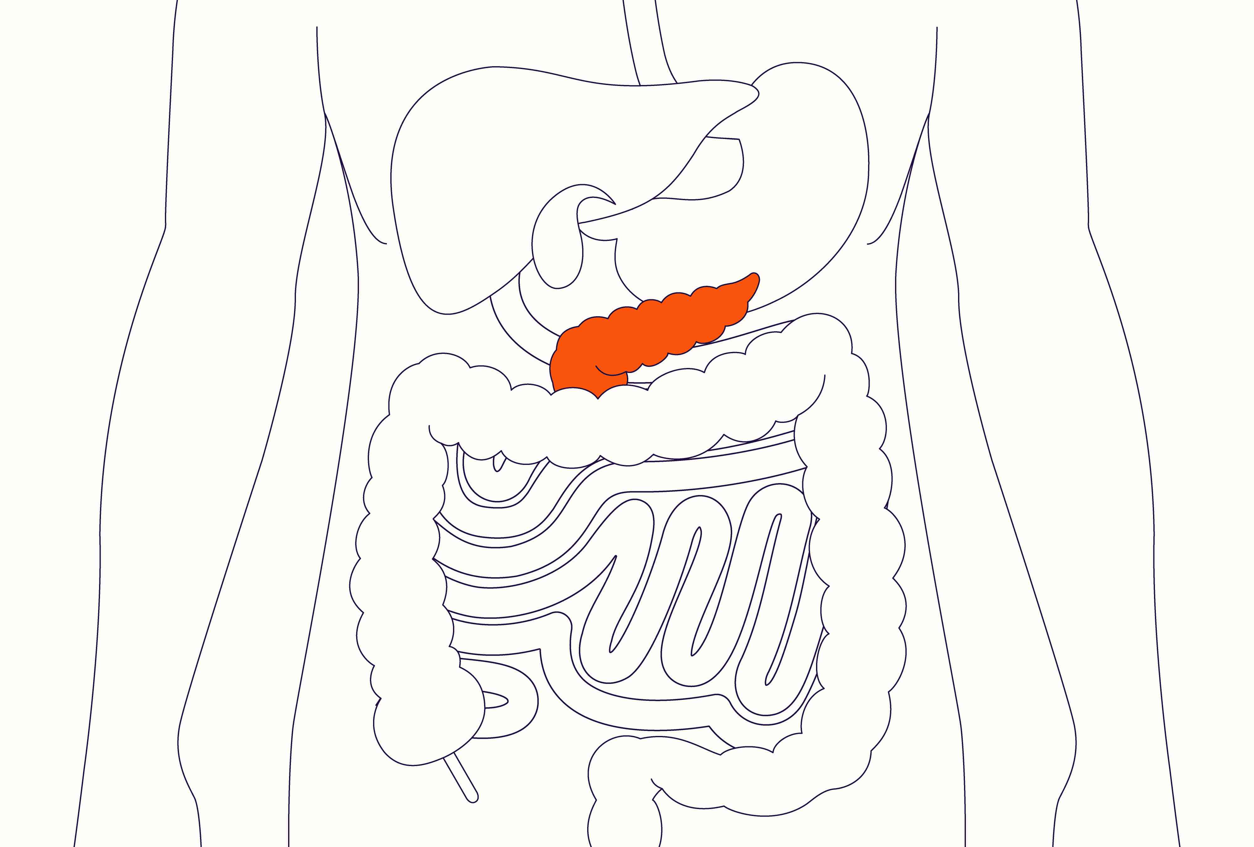 What Affects Pancreas Function? Expert Health Tips
