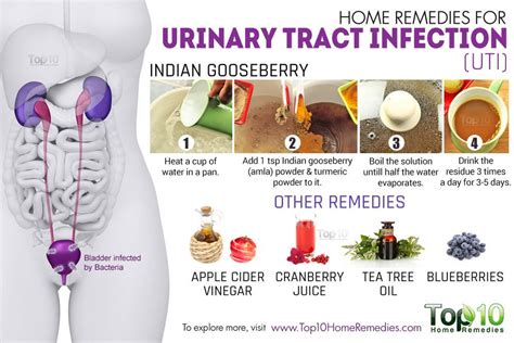 What Causes Urine Infections? Homeopathic Remedies
