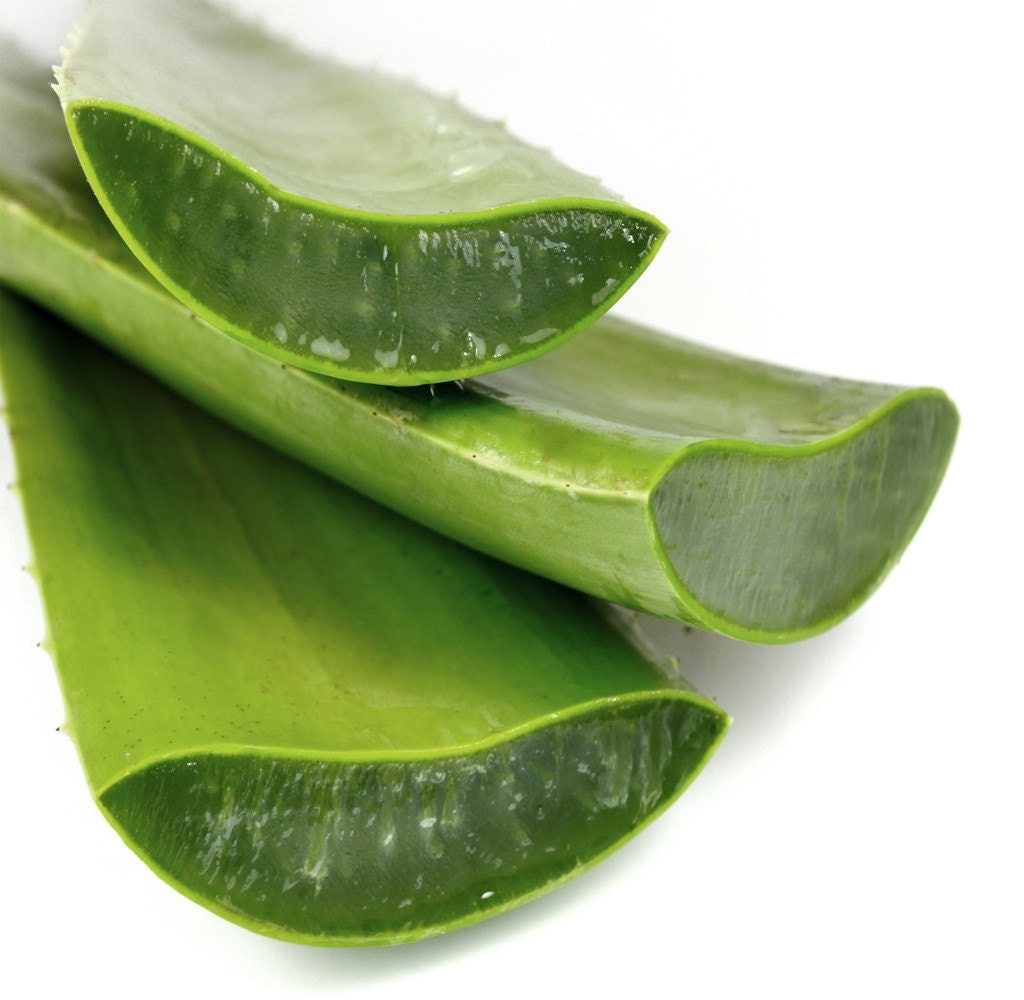 What Replaces Aloe Vera Gel? Natural Remedies