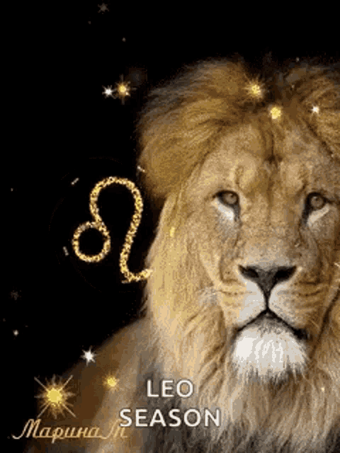 When Is Leo Season? August 22Nd Guide