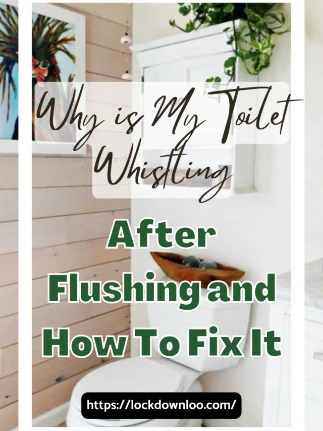 Why Is My Toilet Whistling After Flushing And How To Fix It Lockdown Loo Why Is My Toilet Whistling After Flushing And How To Fix It Lockdown Loo